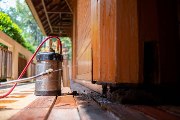 Best Best Pest Control Companies  in Woodside, PA
