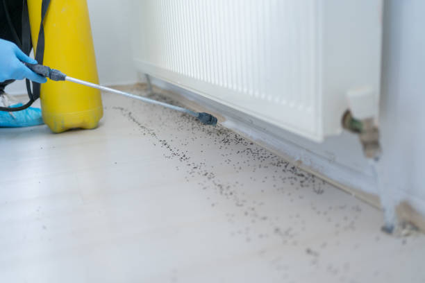 Best Residential Pest Control  in Woodside, PA